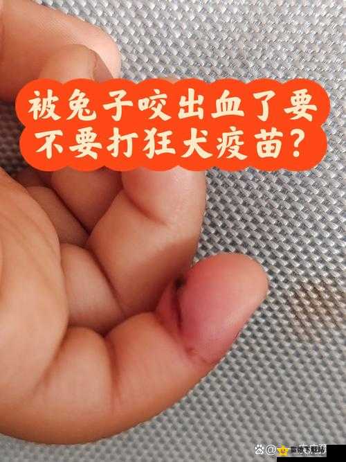 小白兔子被咬的通红：太可怜了