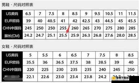 嫩叶草 m 码和欧洲码的区别：解析两者差异