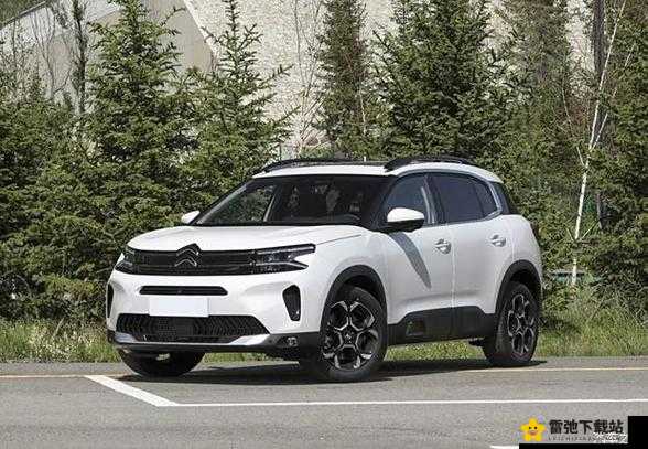 497799 欧洲版国产 SUV：高清质量，超越期待