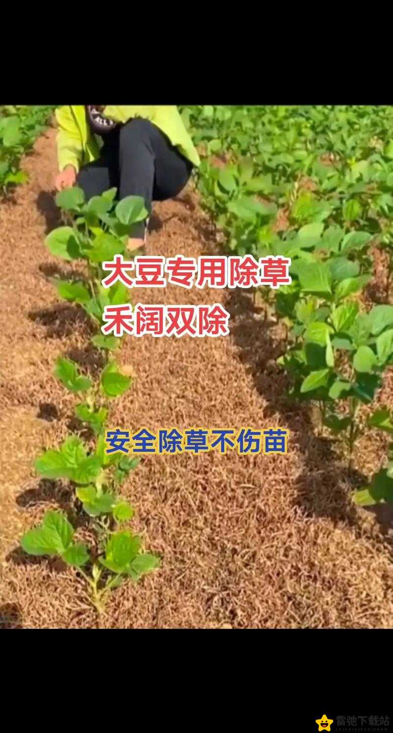 奶牛镇农业致富宝典：作物收益最大化与高效收获攻略