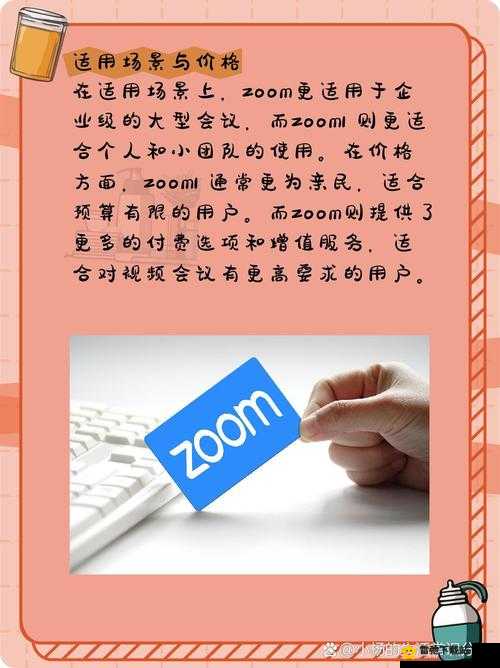 国内 Zoom 人与 Zoom：探寻其独特魅力