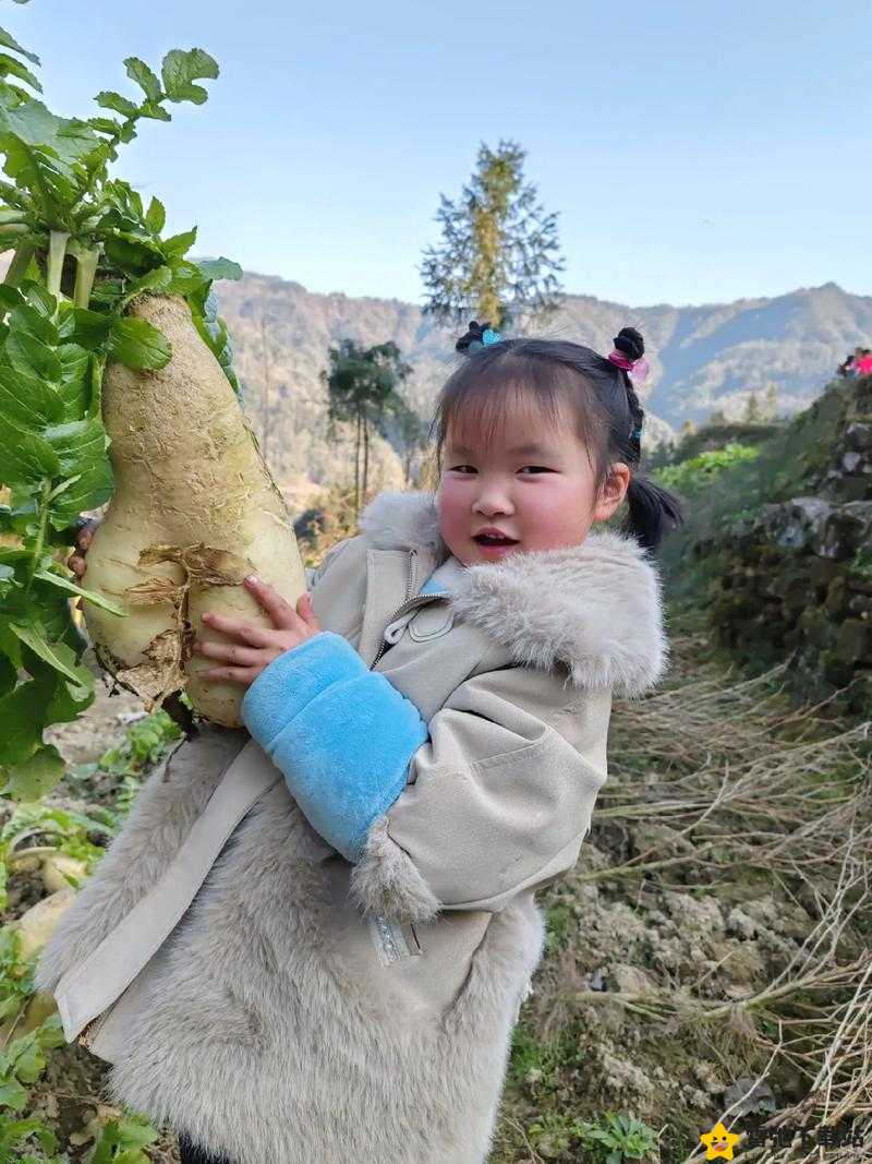 拔萝卜又叫降黄9.1：一个有趣的说法