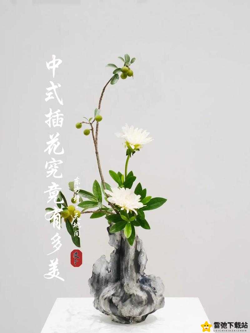 插花弄玉曲径通幽：探寻中式美学的宁静与智慧