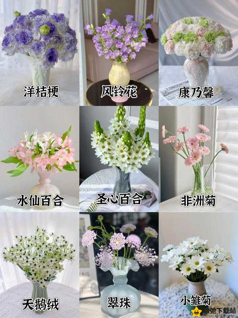 如何获取白色郁金香：花店物语鲜花获取攻略