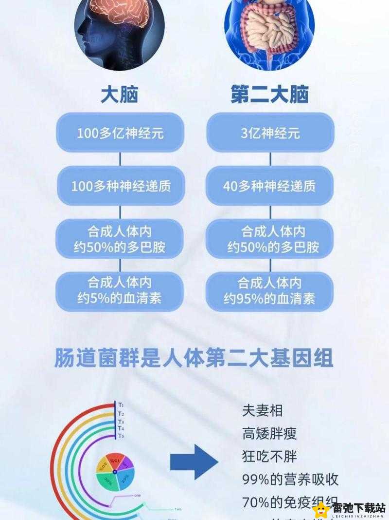 探索最强的大脑点击最大矩形第 183 关通关秘籍大揭秘