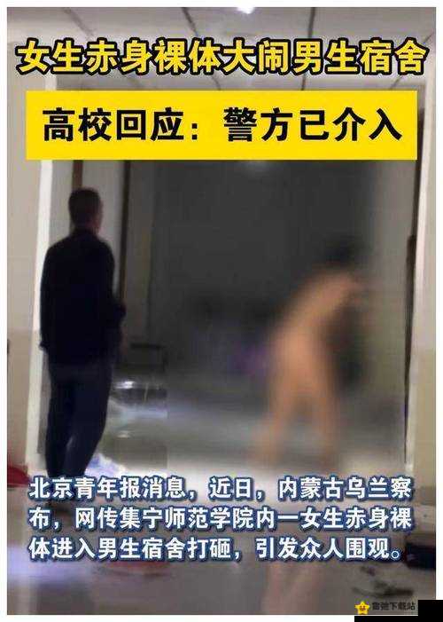 泄露门事件背后的真相与影响