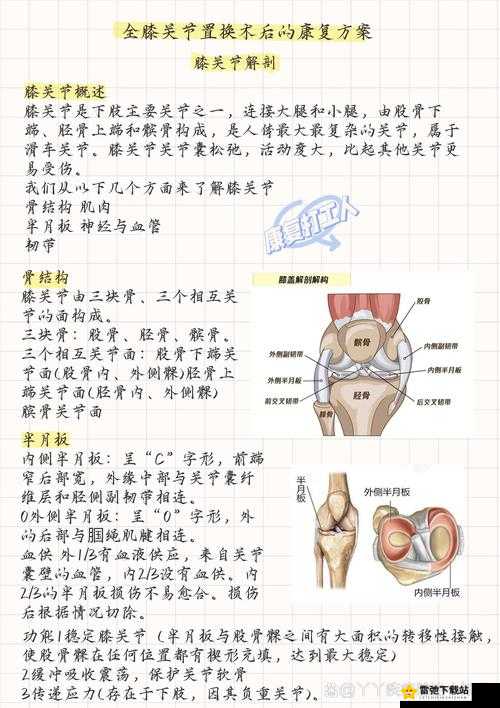 起来还在C骨科：骨伤康复的漫漫征途