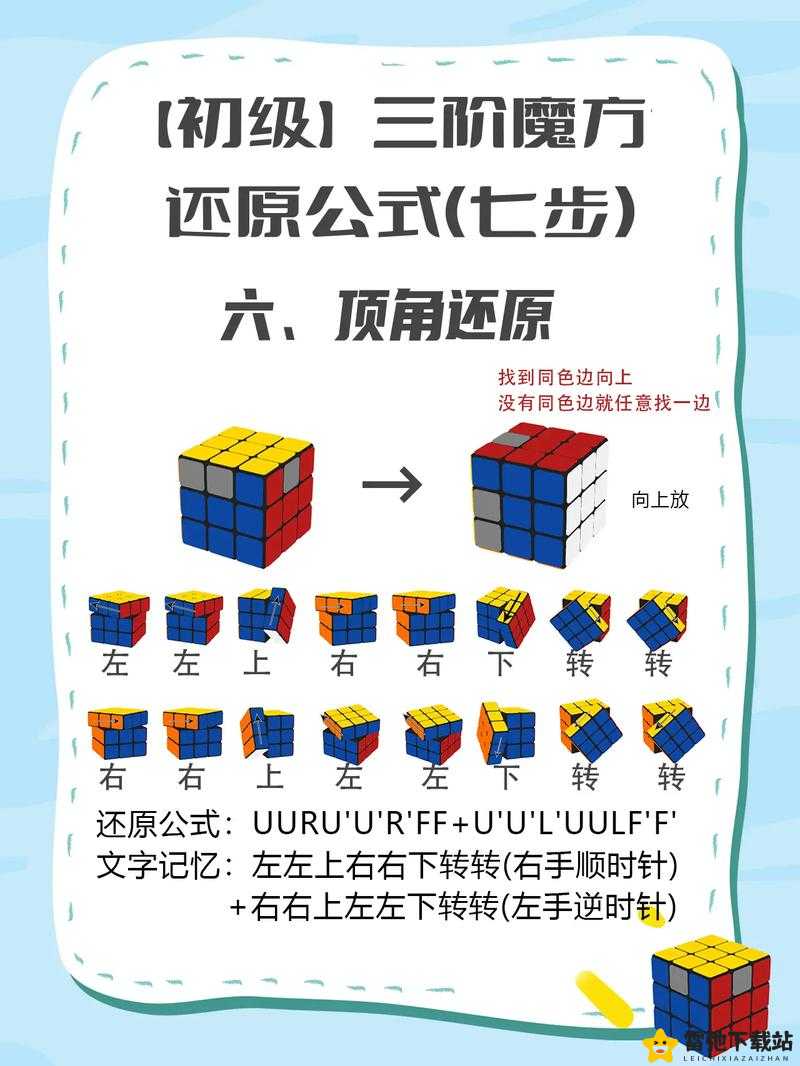 怎么自W到高C详细教程：从基础到进阶的全方位指导