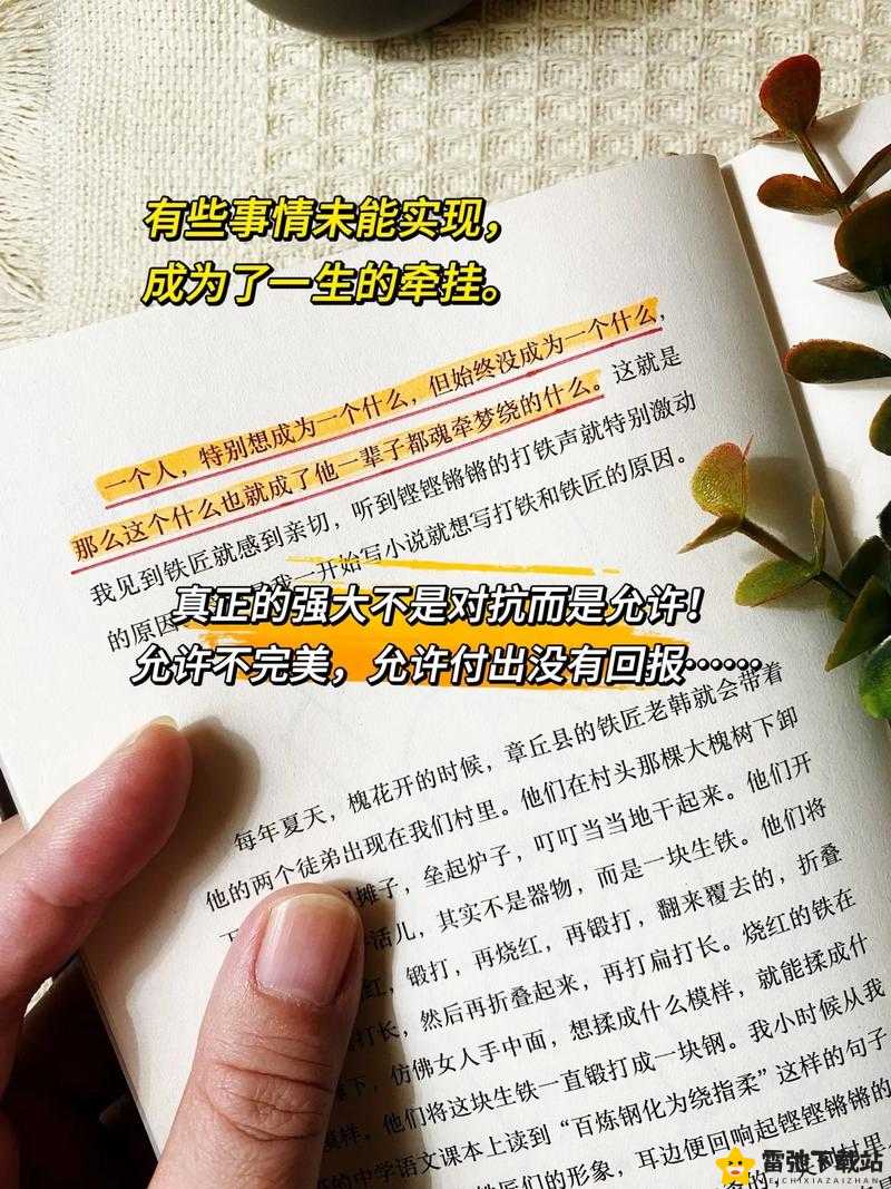 锵锵锵锵锵锵铜引发网友强烈共鸣，成为网络热点话题