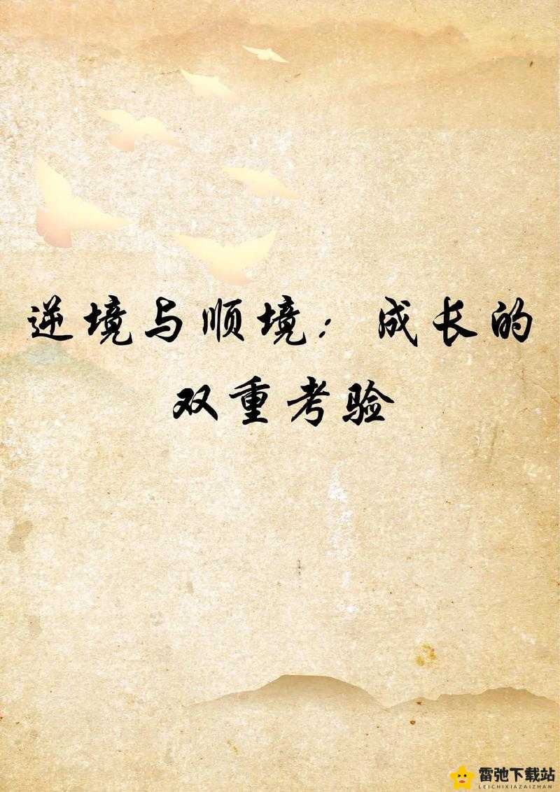 成色好的Y31是一次智慧的考验：挑战与机遇并存