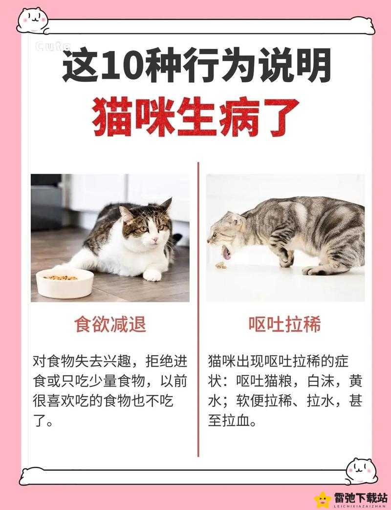 有猫病可爱猫咪趣味截图大放送