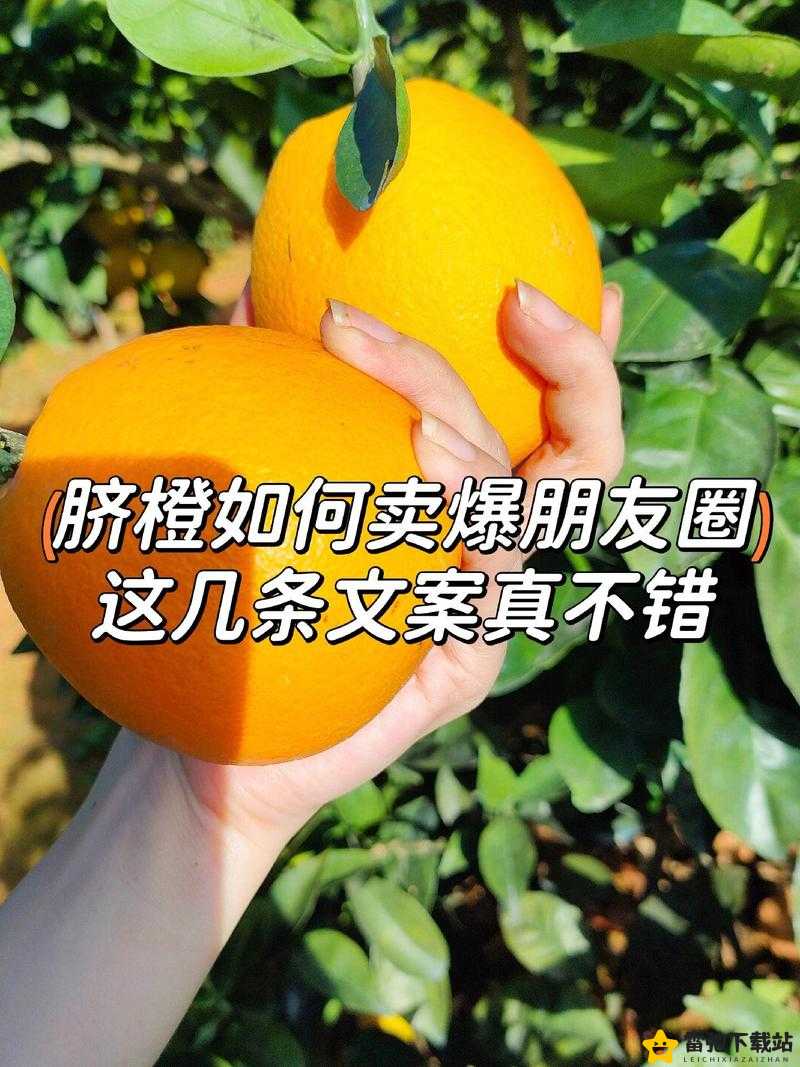 年下1∨1h年龄差时煜温禾：甜蜜邂逅的温馨岁月