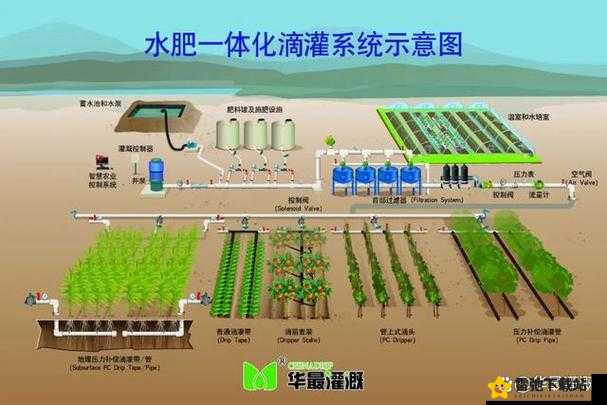 探秘HP公交车灌溉系统 揭开城市绿化新篇章