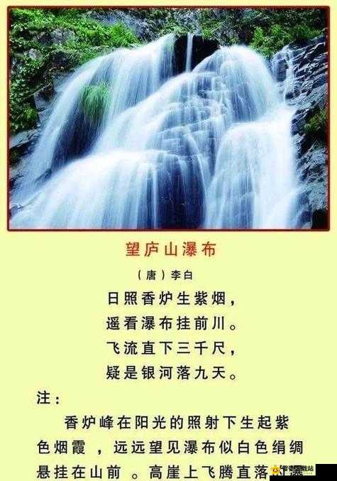 水帘白瀑如饥似渴一丛金黄映日光辉