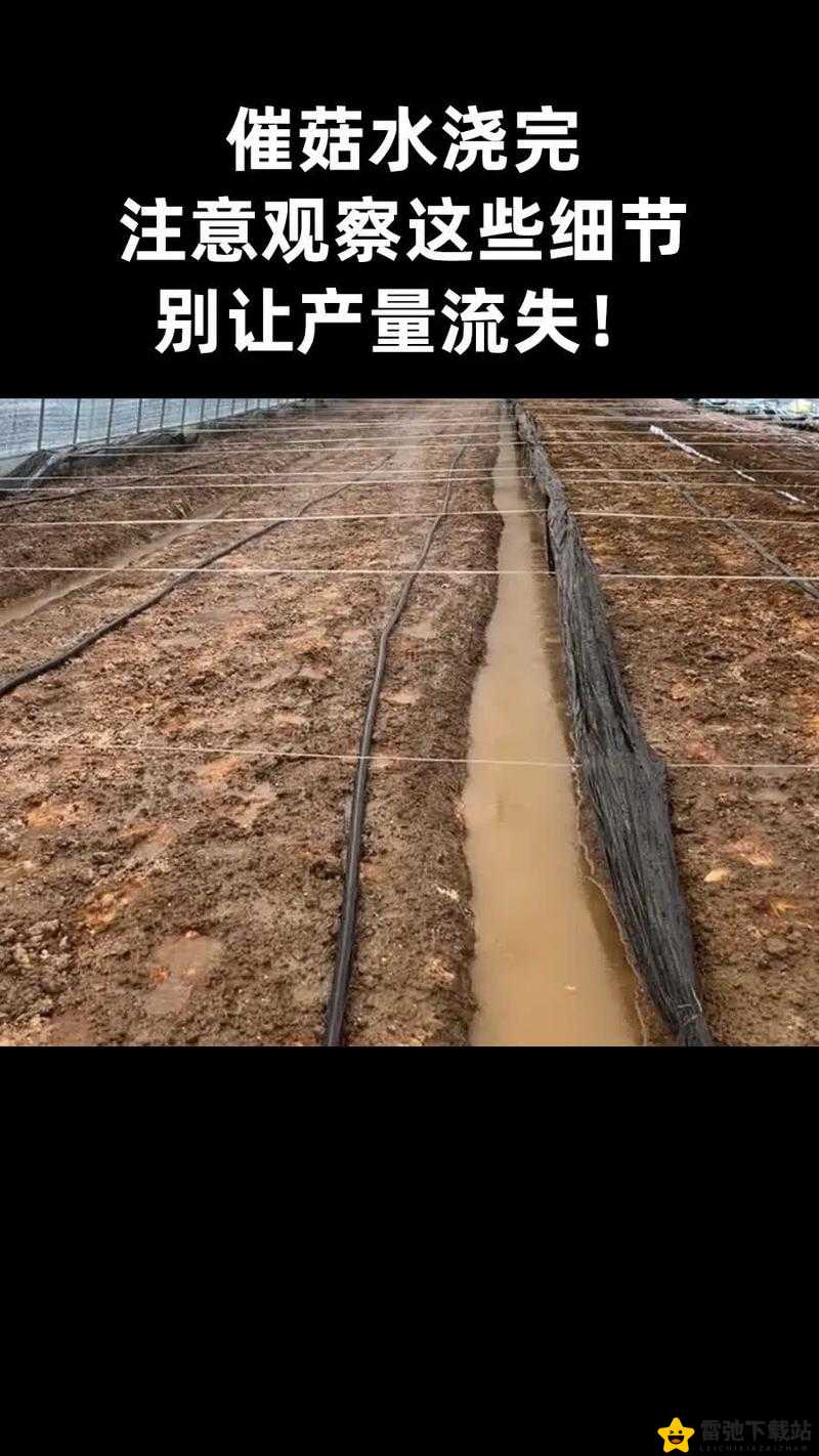 重建家园：入坑注意这些小细节